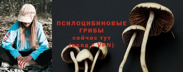 мескалин Майский