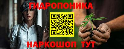 прущие крисы Гай