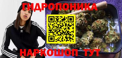 MESCALINE Гатчина