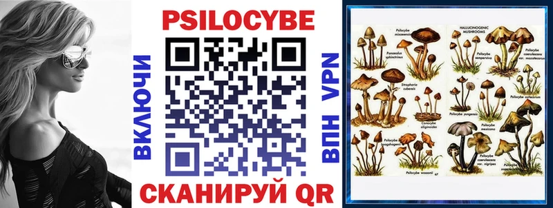 Псилоцибиновые грибы Cubensis  Подольск 