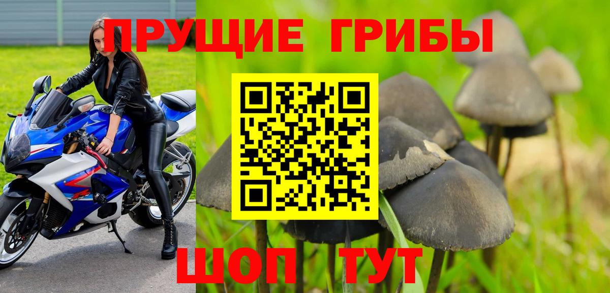Псилоцибиновые грибы Psilocybe  Вход с VPN  Подольск 
